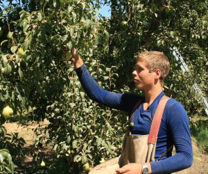 Nowa umowa cywilnoprawna – umowa o pomoc przy zbiorach